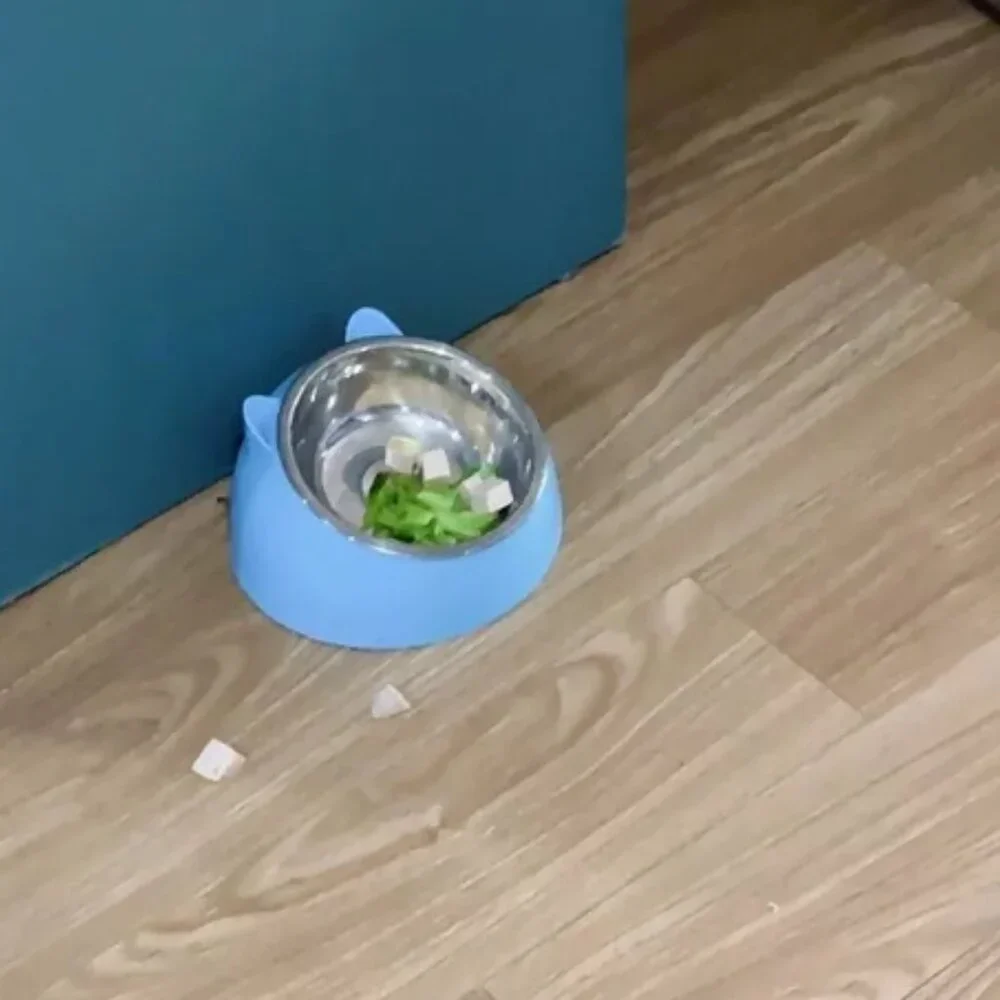 Stainless Steel Food Bowls